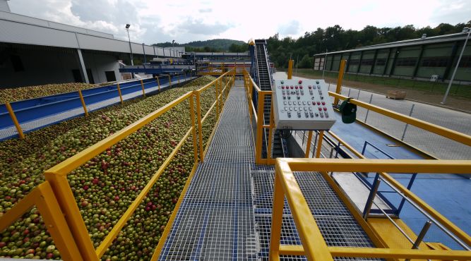 Kompletna linia do produkcji koncentratów z jabłek i owoców kolorowych